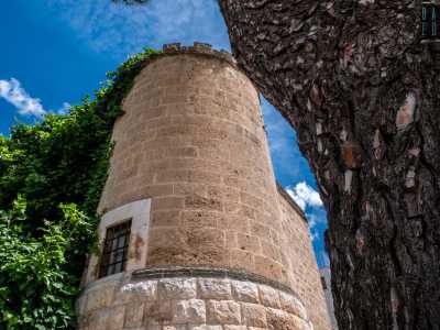 ...con una massiccia torre angolare che affianca l'entrata e si lascia coprire da una rigogliosa vegetazione